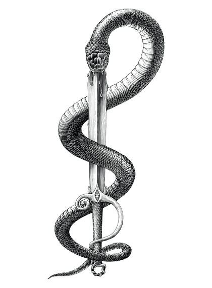 剑黑白蛇插在刀上雕刻的风格匕首危险古董