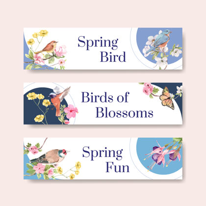 绘画横幅模板设置与鸟类和春天的概念假日美丽符号
