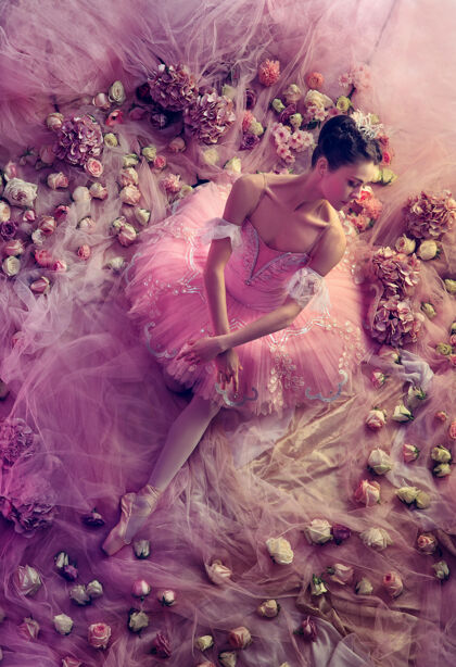 感性完美的粉红色美丽的年轻女子在粉红色芭蕾舞团芭蕾舞团俯视图周围的鲜花春天的心情和珊瑚光温柔春天的概念 开花和自然的觉醒珊瑚年轻踮脚