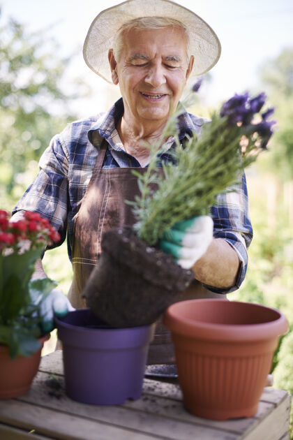 健活方式拿着花在地里干活的老人职业木微笑