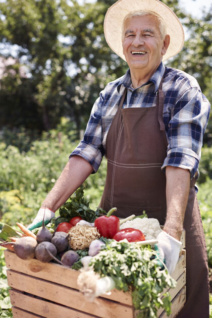 健康的生活方式一个拿着水果在地里干活的老人夏天围裙退休