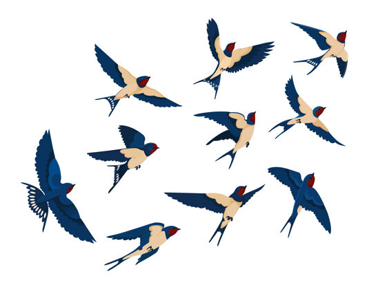 天空飞鸟各种观点收集集成群的燕子隔离在白色背景上卡通插图黑色动物野生