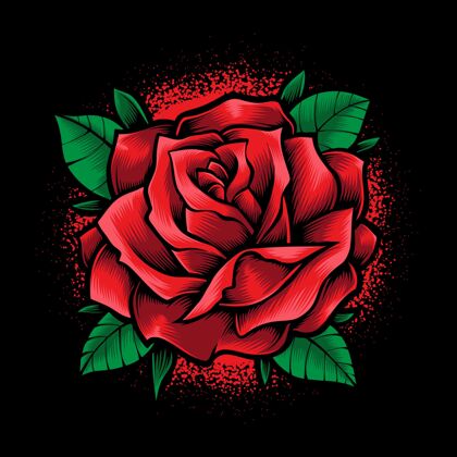 植物红玫瑰孤立在黑玫瑰上花瓣装饰开花