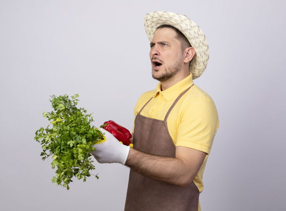 看年轻的园丁戴着工作手套 穿着连体衣 戴着帽子 手里拿着红甜椒和新鲜的草药 看上去很困惑红色工作困惑