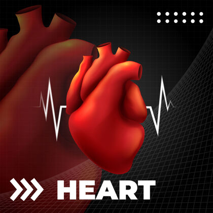 科学人体心脏解剖医学心脏解剖模板医学医院人体心脏