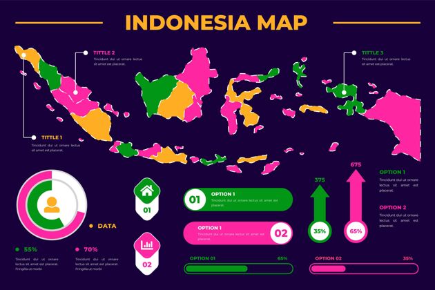 轮廓印尼地图信息图模板图形制图地理