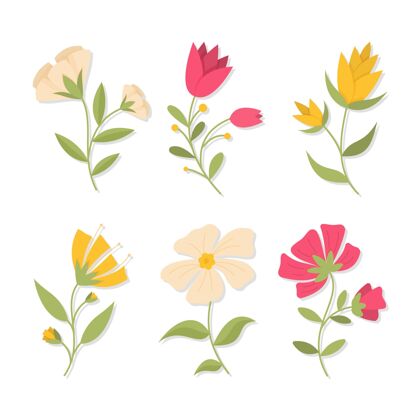 花卉平面设计春花系列自然花卉植物