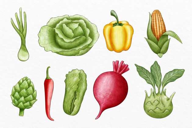 套餐收集不同的蔬菜插图吃饮食食品