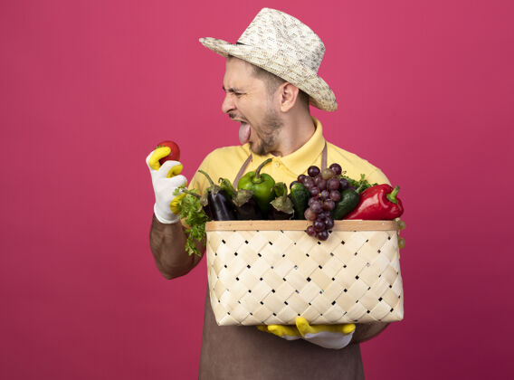 表情年轻的园丁戴着工作手套 穿着连体衣 戴着帽子 手里拿着装满蔬菜的箱子 带着厌恶的表情看着手里的新鲜西红柿拿着穿新鲜