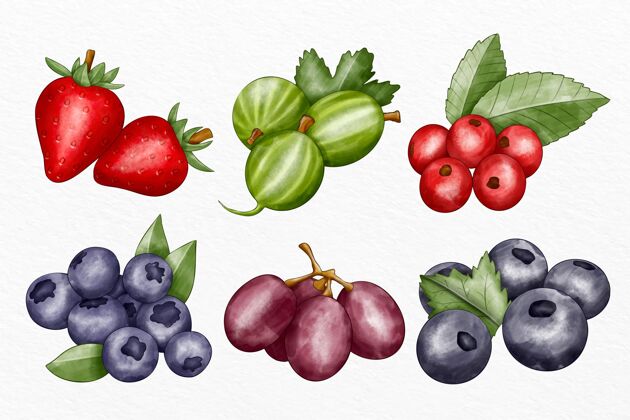 套餐收集不同的水果插图健康饮食美味