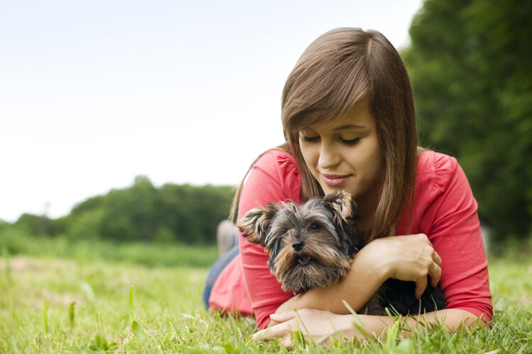 户外抱着约克郡猎犬的年轻女人举行肖像关怀