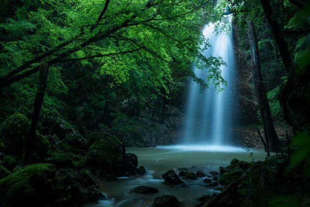 环境森林里瀑布的美丽镜头瀑布树木木材