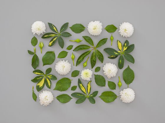 花方块花系列收藏平面叶