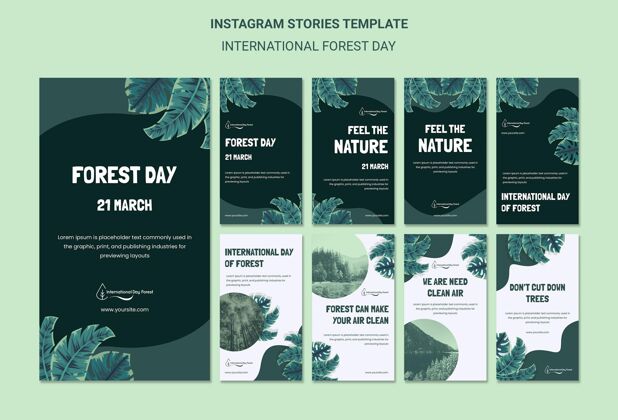 网站Instagram故事集国际森林日庆典社交媒体故事自然Instagram