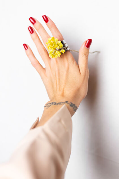 叶软照片的女人手红色指甲 戒指上的手指 举行可爱的黄色小干花 白色温柔雏菊花