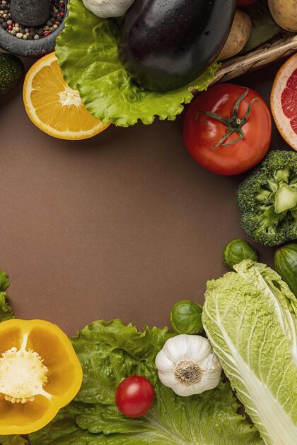 健康有复制空间的蔬菜平面布局有益甜椒蔬菜