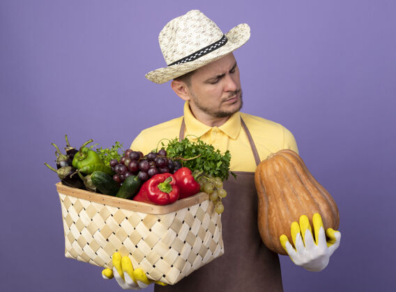 花园年轻的园丁穿着连体衣 戴着帽子 戴着工作手套 手里拿着装满南瓜的蔬菜箱 站在紫色的墙上严肃地看着它男人满的工作