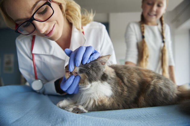 眼镜兽医正在检查猫的牙齿状况触摸特写检查