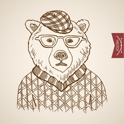 毛衣熊肖像时髦风格的人类服装配饰戴套头衫眼镜帽子线蚀刻老式