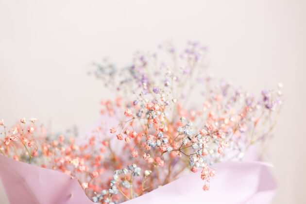 细节漂亮的装饰可爱的小干花 彩色壁纸手明亮装饰