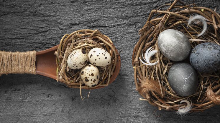 木勺鸟巢中复活节彩蛋的俯视图 鸟巢由树枝和木勺组成蛋树枝帕夏