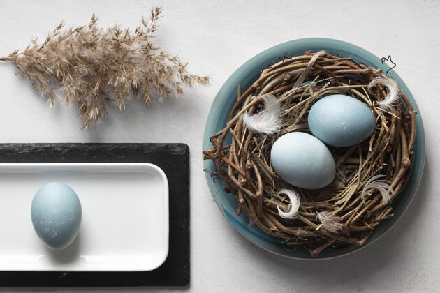 蛋复活节彩蛋顶视图 鸟巢和盘子巢教复活节
