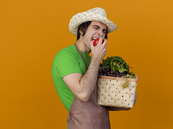 花园年轻的园丁围着围裙 戴着帽子 手里拿着装满蔬菜的板条箱 咬着站在橙色墙上的新鲜西红柿围裙年轻男人