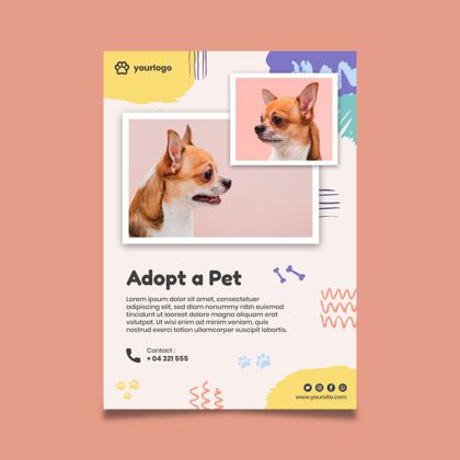 健康专业领养宠物海报与可爱的狗照片海报宠物准备打印