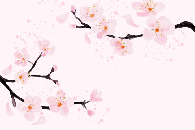 李子水彩粉色花朵梅花背景文化水彩画年