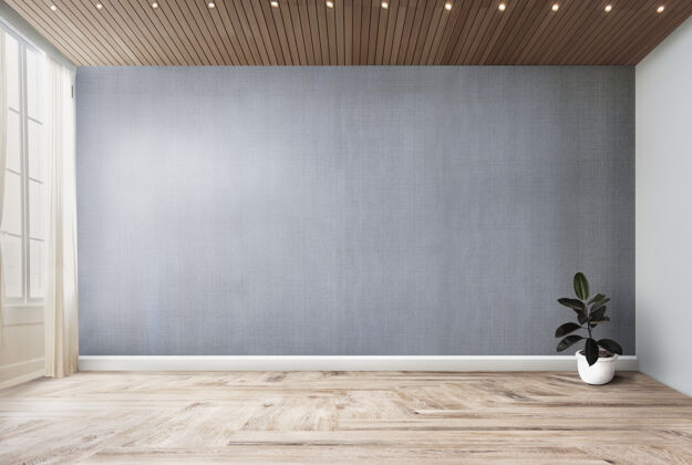 面板种植在一个空房间与灰色墙模型房间公寓窗帘
