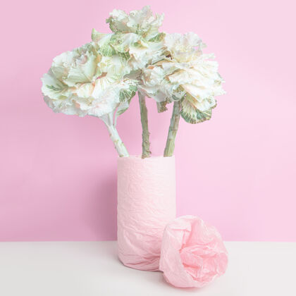 植物花瓶里的装饰性卷心菜 用粉红色的纸包在粉红色的墙上园艺花瓶开花