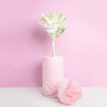 有机花瓶里的装饰性卷心菜 用粉红色的纸包在粉红色的墙上食物开花生长