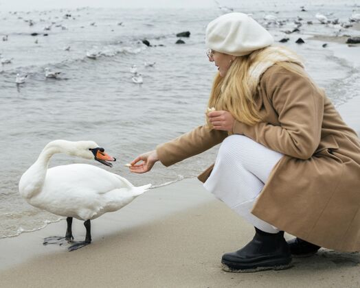 生活方式冬天在海滩喂天鹅的女人的侧视图休闲季节业余爱好