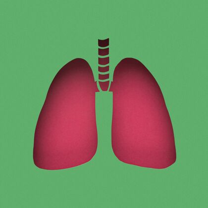 病毒肺是纸做的预防冠状病毒疾病