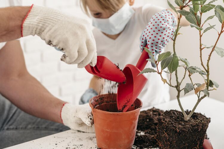 农业父子俩一起在家种菜孩子种植父母