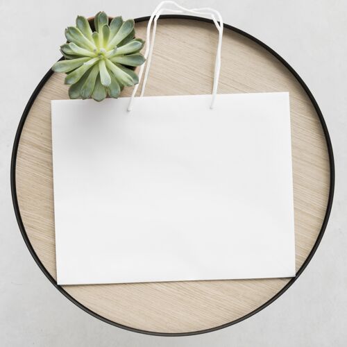 袋子纸袋概念模型包装模型销售袋