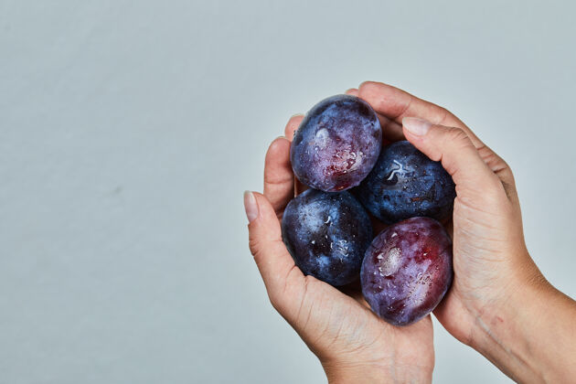 浆果手拿新鲜的李子放在灰色的土地上成熟的蓝色自然