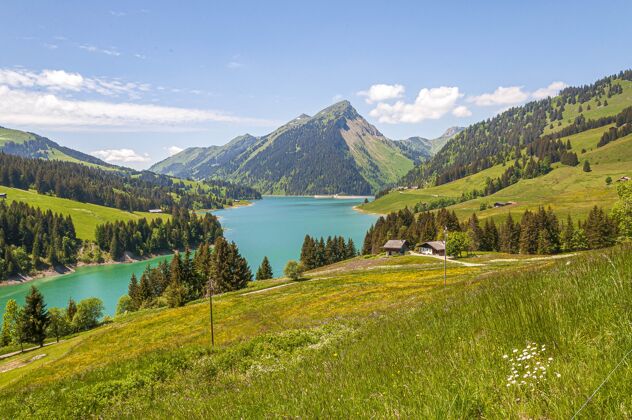自然美丽的风景湖环山在隆林湖和大坝瑞士 瑞士乡村风景欧洲