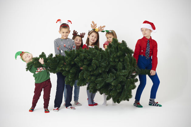 举重一群孩子试图举起圣诞树家庭男孩合作
