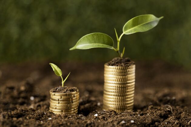 横向硬币与植物堆放在泥土上的正视图资本储蓄财富