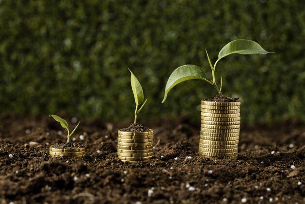 现金用植物堆在泥土上的硬币金钱储蓄货币