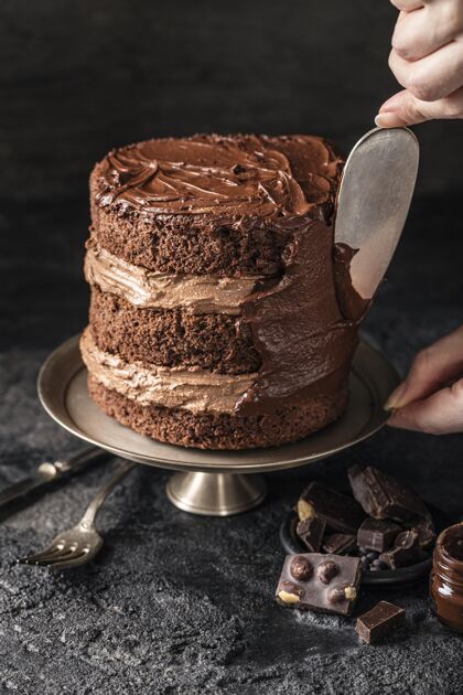 巧克力蛋糕美味巧克力蛋糕概念正面图景观厨房垂直