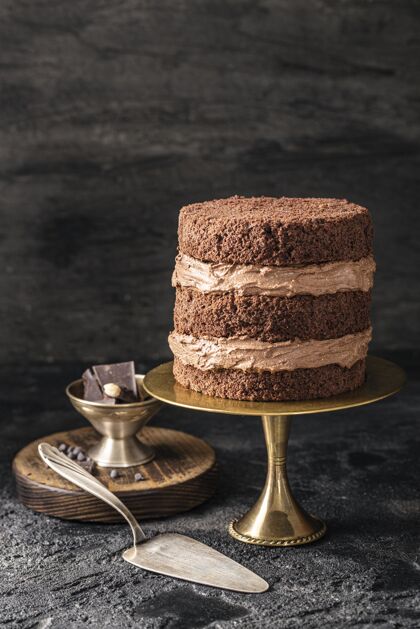 巧克力蛋糕美味巧克力蛋糕概念正面图美味巧克力美味