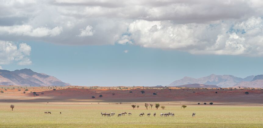 蓝色在纳米比亚的纳米布沙漠在多云的天空下的景观水平拍摄野生干旱沙丘
