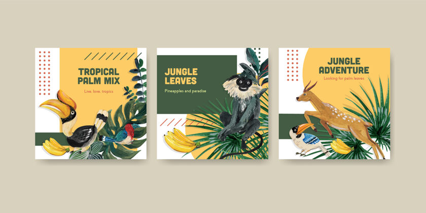 热带广告模板与热带当代概念设计的营销水彩插图树叶花卉营销