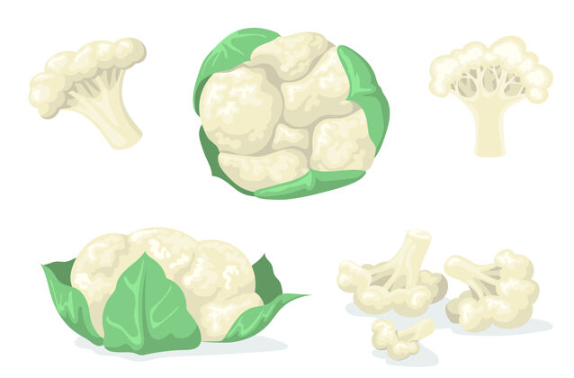 膳食彩色花椰菜平面套网页设计卡通卷心菜在叶子和分片隔离矢量插图收集有机食品和蔬菜的概念植物白色套装
