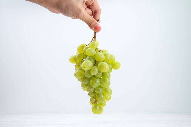 葡萄酒正面观鲜绿葡萄 在女性手上沾上淡白色表面的果酒 新鲜醇厚的果汁醇香生的串
