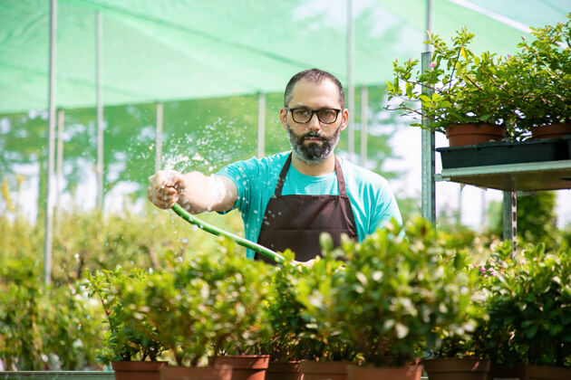眼镜水龙带上的人工浇灌盆植物的正面图围裙上的中年园丁戴着眼镜 在温室里工作 种花商业园艺活动和夏季概念绿化制服胡须