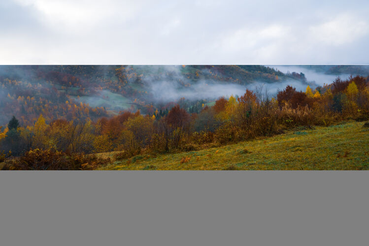 景色色彩斑斓的茂密森林在温暖的喀尔巴阡山脉覆盖着浓浓的灰雾雾风景林地