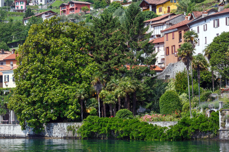 乡村科莫湖（意大利）海岸夏季从船上看水海岸意大利
